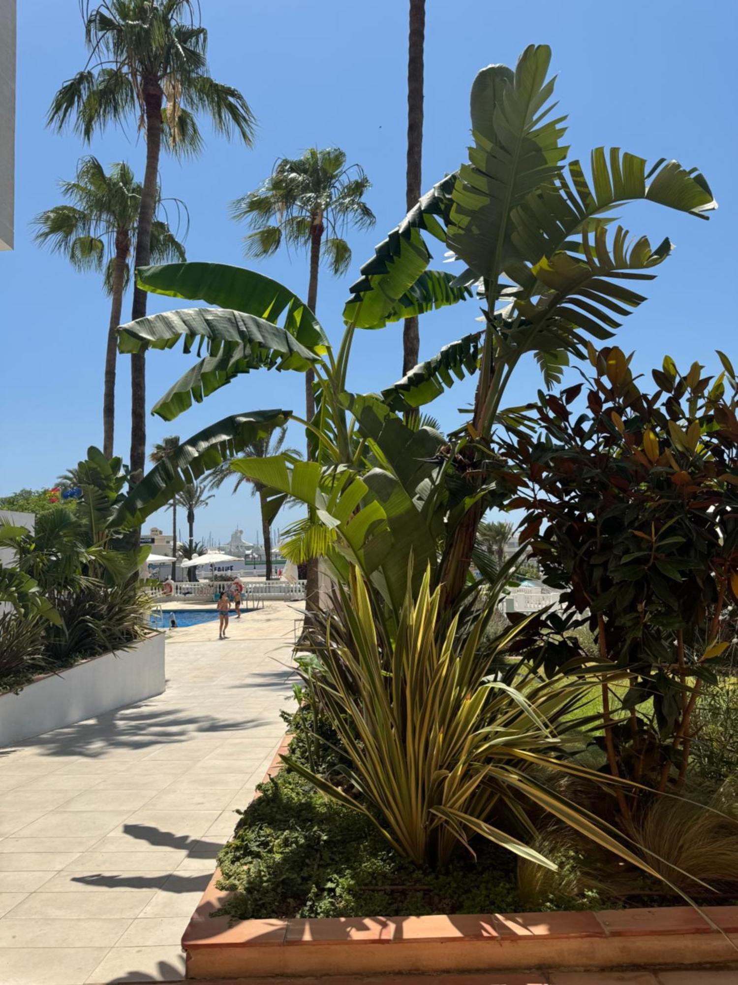 Piso509 Daire Benalmádena Dış mekan fotoğraf